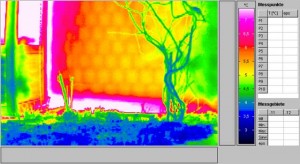 Thermo3